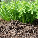 K1 KAq ROq Yc9 QPS Hznr